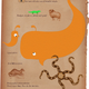 Illustration for article titled Follow The Fictional Science Adventures Of Squid Owl